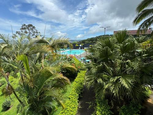 Habitación doble, Hotel Aurora Inn, Nuevo Arenal في نويفو أرينال: منظر لمنتجع مع أشجار النخيل وحمام سباحة