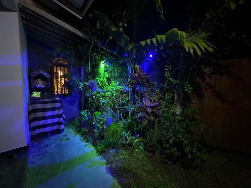 Aed väljaspool majutusasutust Noahs House