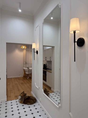 a cat laying on a floor next to a mirror at Apartament Antresola in Kalisz