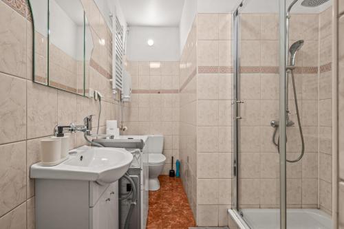 een badkamer met een wastafel en een douche bij Apartamenty Centrum in Rybnik