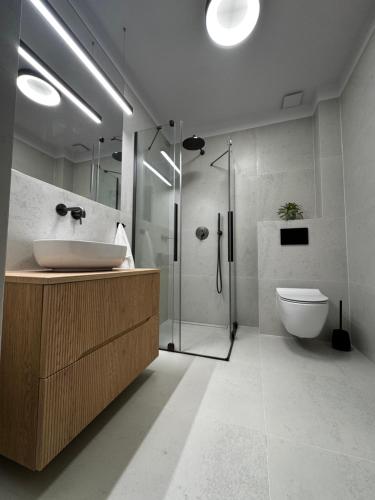 Un baño con lavabo, ducha e inodoro. en Apartamenty Forestlive, en Międzychód