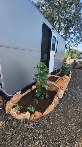 Imagen de la galería de חאן בכרמל, en Qiryat H̱aroshet