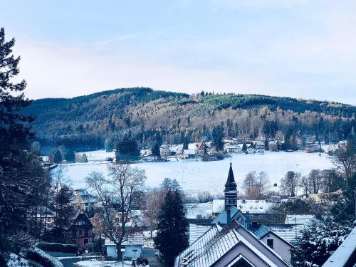 Le Chalet du Hohwald
