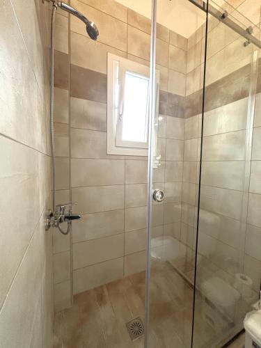 a shower with a glass door in a bathroom at Theo apartment with Balcony in Marathias