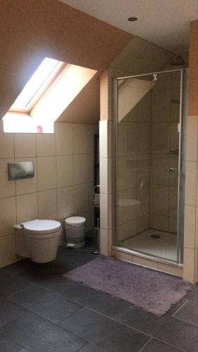 a bathroom with a shower and a toilet and a window at Holiday paradise in Berlin