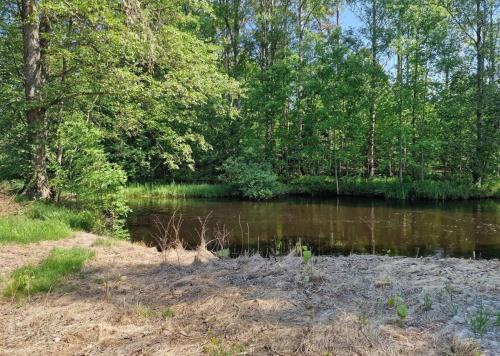 Naturlandschaft in der Nähe des Ferienhauses