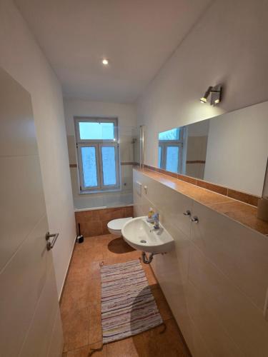 une salle de bain avec un lavabo et un miroir dans l'établissement Ferienwohnung Neukieritzsch, à Neukieritzsch