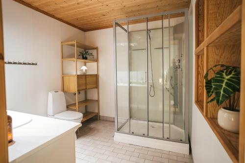 een badkamer met douche en toilet bij Urban Arctic Living in Tromsø