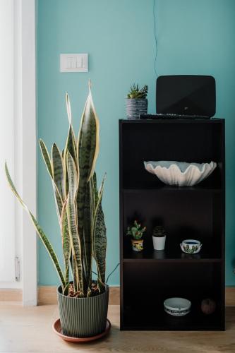 Sarina's apartment photo 5