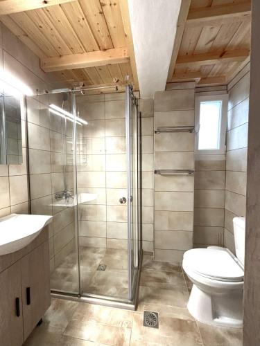 a bathroom with a glass shower and a toilet at Theo Two-Bedroom Apartment in Marathias