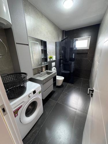 普里什蒂纳Central Lux Apartmens的配有洗衣机和水槽的浴室