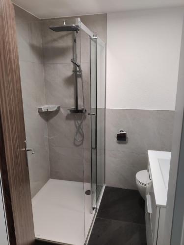 Big studio, just renovated, great views, with free parking