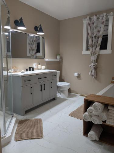 a bathroom with a toilet and a sink and a shower at La belle ancestrale in Sainte-Anne-des-Monts