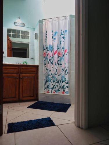Foto de la galeria de Serenity Haven a Rodney Bay Village