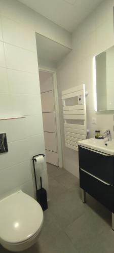 a bathroom with a white toilet and a sink at La 62 du 11 11 in Bourbourg