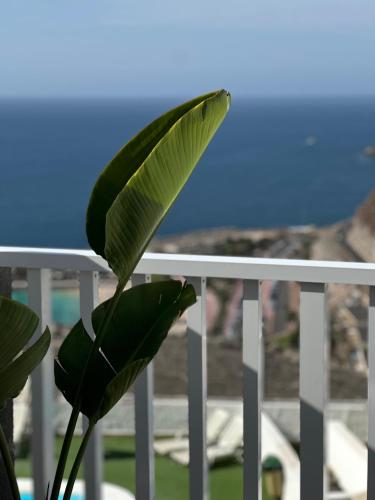 a green plant sitting on a white railing at AMADORES BEACH VIEW APARTMENT in Amadores