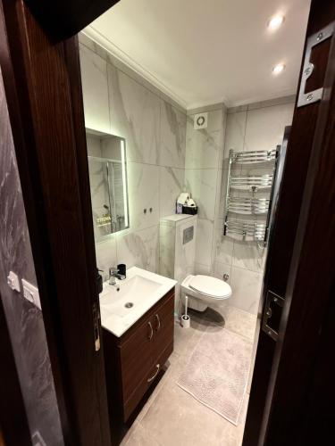 Un baño con lavabo e inodoro en Diamond grey Titova Vila, en Zlatibor