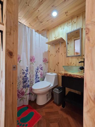 Ένα μπάνιο στο Hostal Aves del Sur Coñaripe