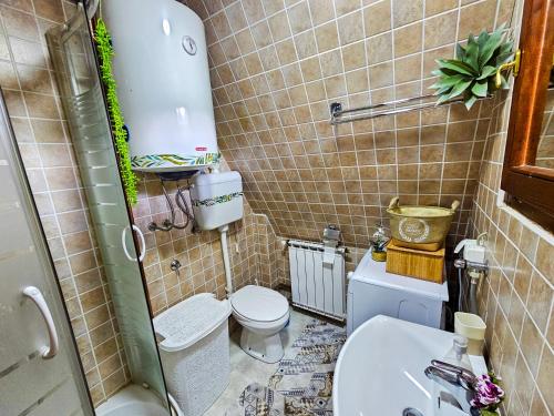 un piccolo bagno con un water e un lavandino di Vila Sreća - Kolašin a Kolašin