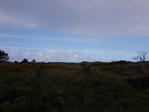 Phong cảnh thiên nhiên gần nhà nghỉ dưỡng