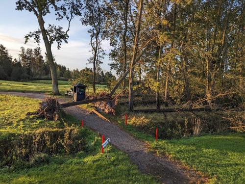 eine unbefestigte Straße in einem Park mit Bäumen und einem Feld in der Unterkunft 10 person holiday home in Væggerløse in Bøtø By
