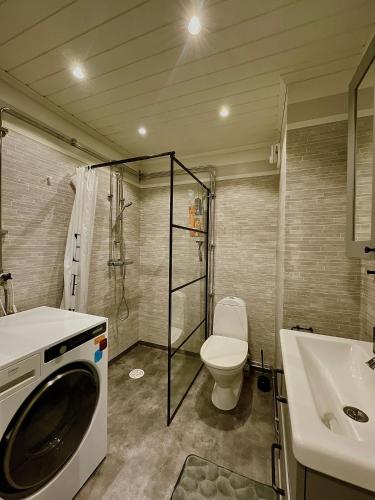 a bathroom with a toilet and a sink and a washing machine at Guesthouse Olivier in Hammarstrand