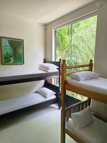Кровать или кровати в номере Foresthouse Beach Hostel