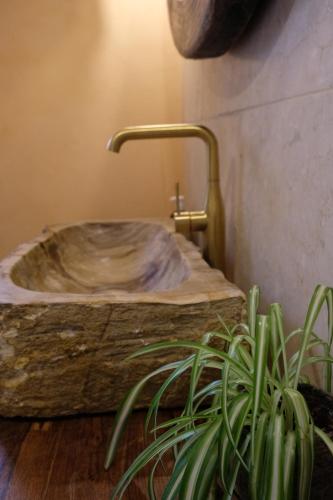 普利维伦吉斯Luxueuse oasis écologique à proximité du lac的一间带石制水槽和植物的浴室