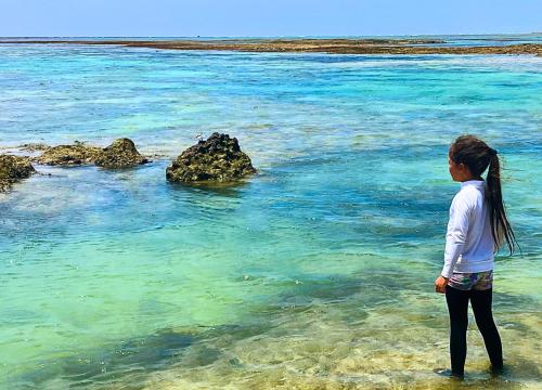 Příroda nedaleko vily