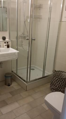 a bathroom with a shower and a sink at Sophienstrasse Appartement in Baden-Baden