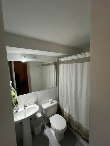 a bathroom with a white toilet and a sink at Departamento 3 piezas in Viña del Mar