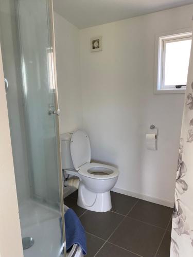a bathroom with a toilet and a shower at Tiny House Of Great Choice in Auckland