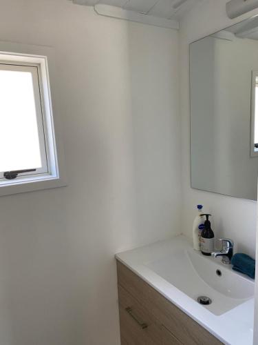 a bathroom with a white sink and a mirror at Tiny House Of Great Choice in Auckland