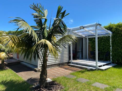 a palm tree in front of a house with a pergola at Tiny House Of Great Choice in Auckland