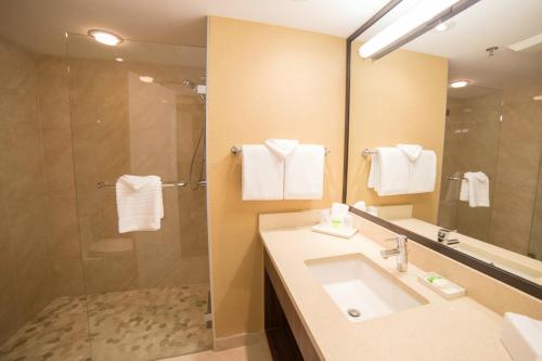 La salle de bains est pourvue d'un lavabo et d'une douche. dans l'établissement Abercorn Hotel, Trademark Collection by Wyndham, à Richmond