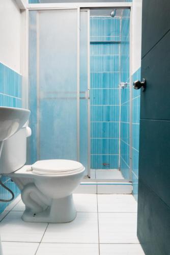 a bathroom with a toilet and a shower at HOTEL PALACE DIAZ inn in Cusco