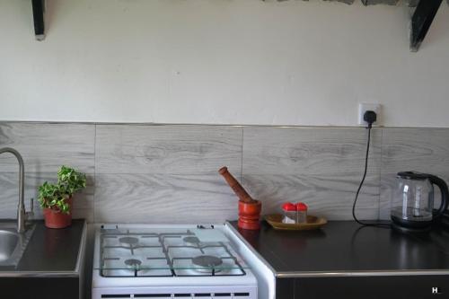 Η κουζίνα ή μικρή κουζίνα στο Scenic Mountain Cabin with Workspace - Close to Ella