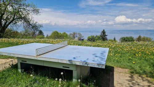 un banc au milieu d'un champ de fleurs dans l'établissement 2-room apartment with breathtaking views of Lake Geneva, à Lugrin