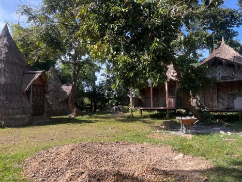 an old house with a tree in a field at The Last Resort in Don Det