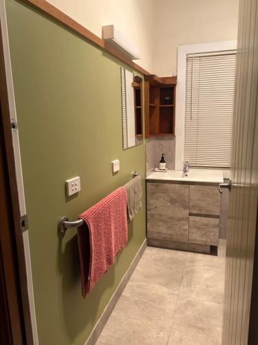 a bathroom with a green wall and a sink at Trippypossums House in Horsham