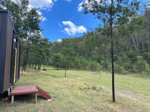 un banc de parc à côté d'un arbre dans un champ dans l'établissement Wombat Hideaway by Tiny Away, à Laguna