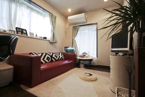 Aila Room