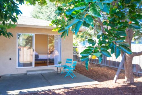 Φωτογραφία από το άλμπουμ του Central 3BR Home Steps from Castro St σε Mountain View