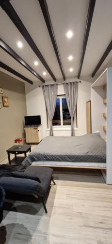 a bedroom with a large bed and a window at Chic & Design Studio for 3 people in Thonon-les-Bains