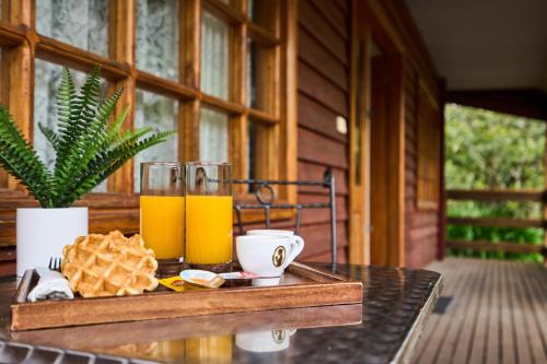a tray with two glasses of orange juice on a table at Sanctuary House Resort Motel in Healesville
