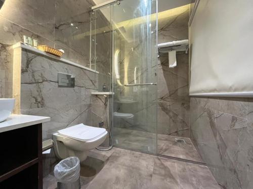 un bagno con wc e doccia in vetro di HOTEL BR GRAND with NIMO CLUB ad Amritsar