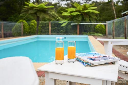 two glasses of orange juice on a table next to a pool at Sanctuary House Resort Motel in Healesville