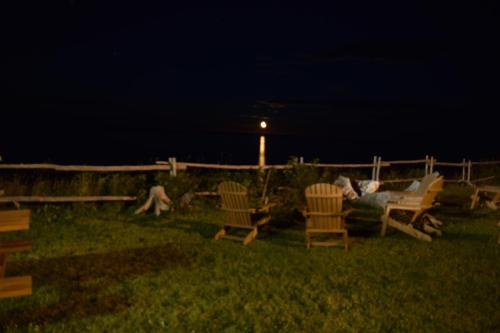 a person sitting in chairs in the grass at night at Les Cabines sur Mer in Cap-des-Rosiers