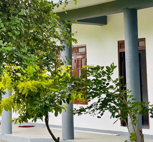 Κήπος έξω από το Vibra Hostel