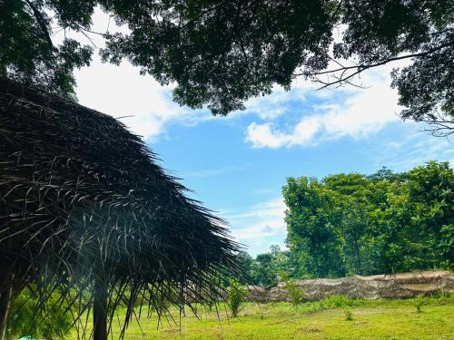 Φυσικό τοπίο κοντά σε αυτό το hostel